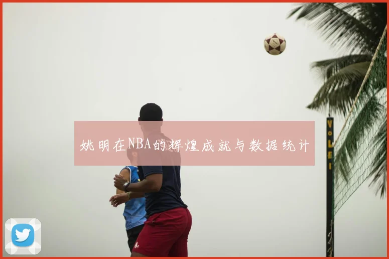 姚明在NBA的辉煌成就与数据统计