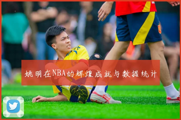 姚明在NBA的辉煌成就与数据统计